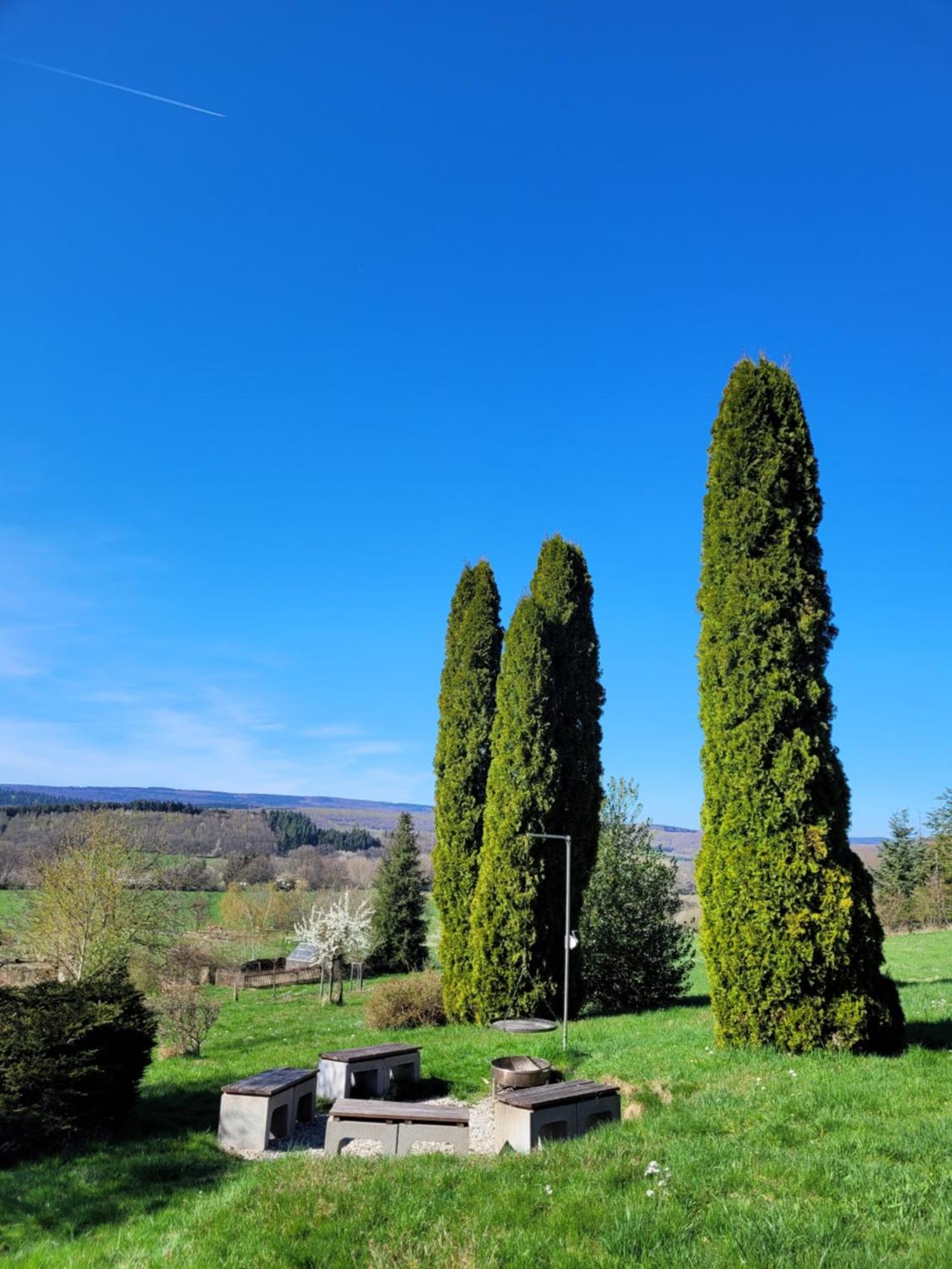 Ferienhaus Wilder Hunsrueck Schmissberg エクステリア 写真